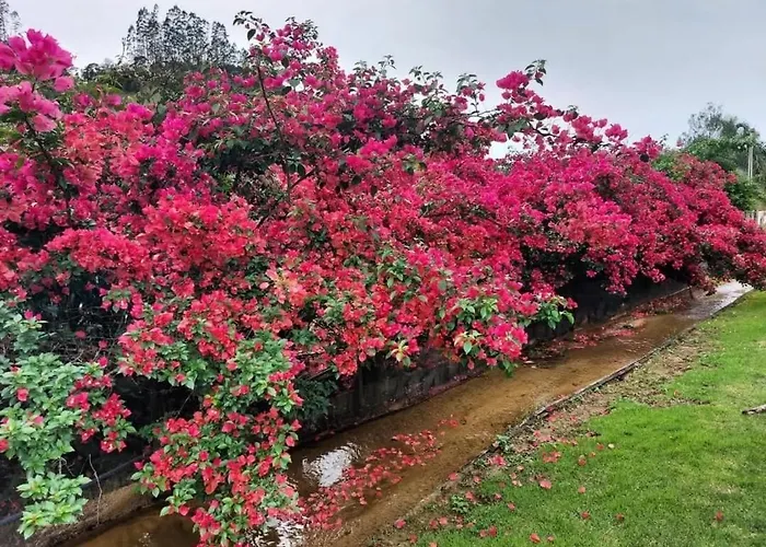 Caminhos da Serra do Tabuleiro - Chalé Araucária